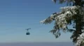 Cable Car Cabin Passing Over a Beautiful Snowed Conifer Forest HD Footage