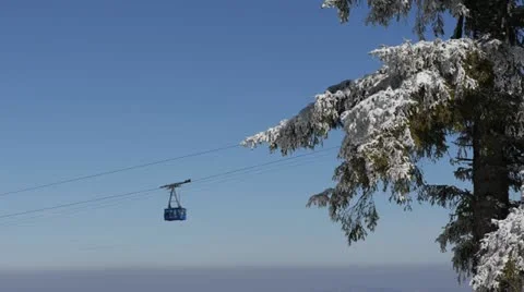 Cable Car Cabin Passing Over a Beautiful Snowed Conifer Forest Stock Footage 21996924