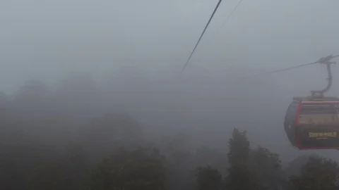 Cable car cabins in the jungle Stock Footage 120539662