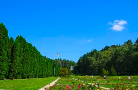 Cable car with clear blue sky at Park. Holiday travel Concept. Park, roses, g Stock Photos