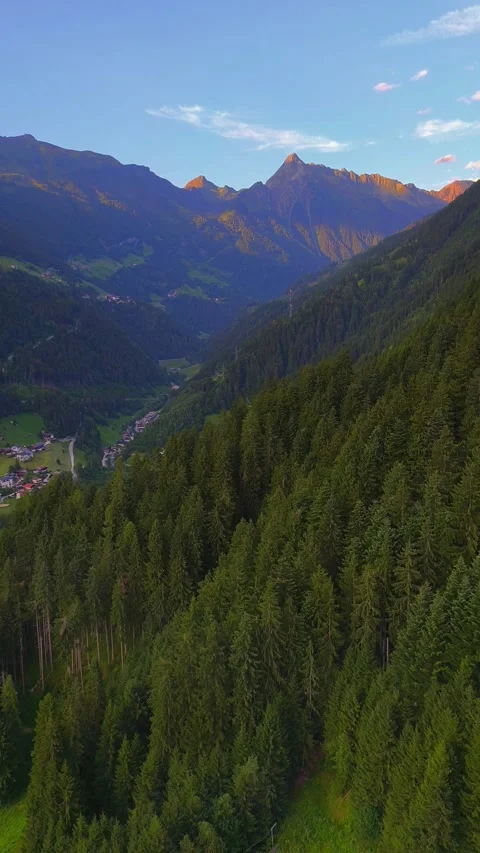 Cable Car Descent: Mountain Valley, Forest View Video stock 313504062