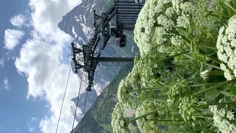 Cable car in the Dombay Russia. View of the snow-capped mountains. Video stock 202012275