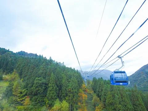 Cable Car in the Forest Stock Photos