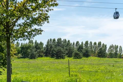 Cable Car Gliding Over a Poplar Tree Line and Meadow Stock Photos