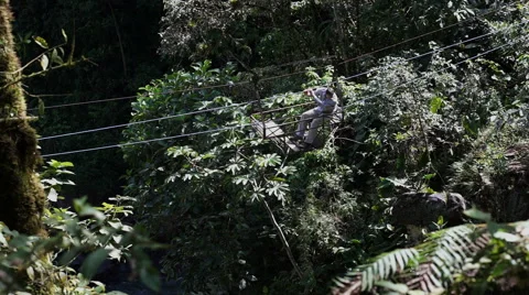 Cable Car Man Looking Down Stock Footage 56332416