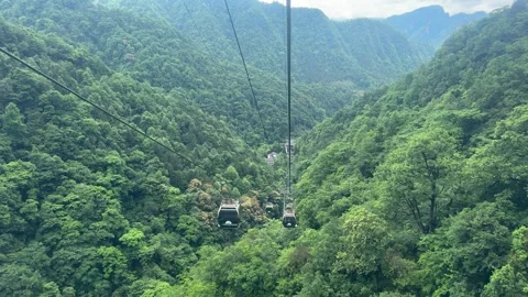 Cable car moving above lush green mountain forest. Stock Footage 337649386