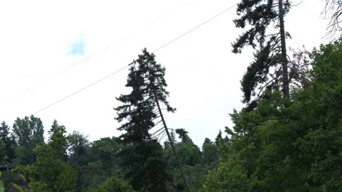 Cable car moving under green trees in Borjomi Stock Footage 254899745