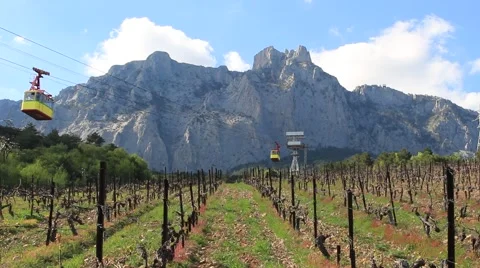 Cable Car over vineyard. Vídeo Stock 49772718
