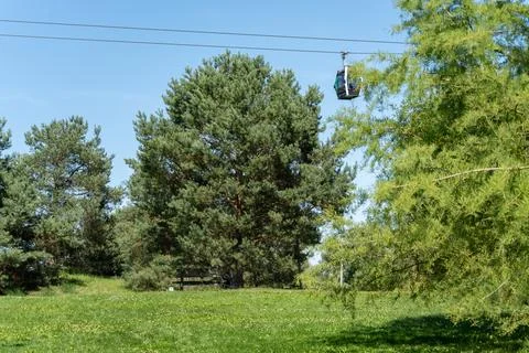 Cable Car Passing Above Pine Trees in a Sunny Park Stock Photos
