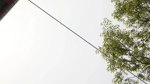 Cable car passing by against the sky Vídeo Stock 310355489