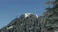 Cable Car Passing Going Over Fir Trees Snowed Winter Beautiful Landscape Nature HD Footage