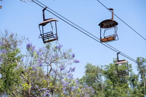 Cable Car Ride Above Trees and Purple Flowers on a Sunny Day Fotos de archivo