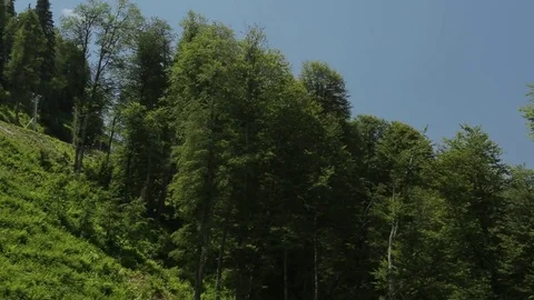 The cable car rises to the mountains Stock Footage 73368009