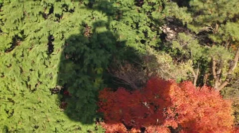 Cable Car shadow in Autumn Stock Footage 11447723
