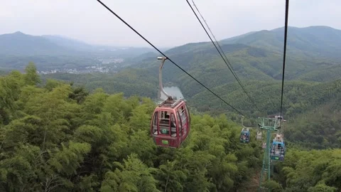 Cable car slowly descends over vast green bamboo sea Stock Footage 337981390