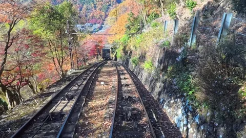 Cable Car Tracks Autumn Maple, Mt Hiei, Kyoto, Japan Stock Footage 341957796