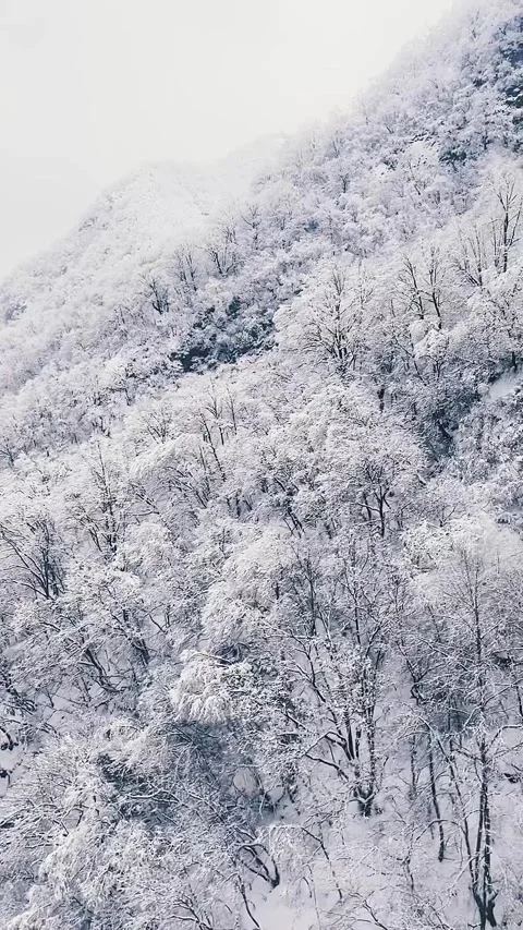 A cable car traversing through the rime, Henan, Luanchuan, and Laojunshan Stock Footage 267185757