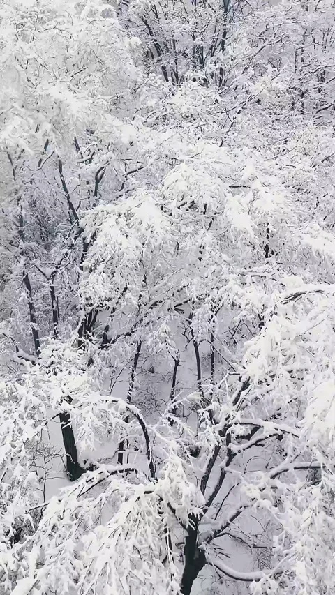 A cable car traversing through the rime, Henan, Luanchuan, and Laojunshan Stock Footage 267186438