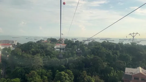 Cable Car Trees Sea Ships Singapore Stockbeeldmateriaal 332633652