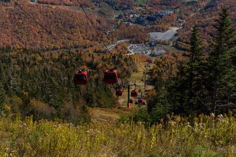 Cable car view. Fall colour seen from above, with telephoto lens, on Stowe Mo Stock Photos