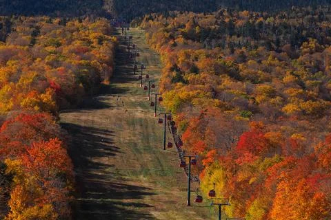 Cable car view. Fall colour seen from above, with telephoto lens, on Stowe Mo Stock Photos