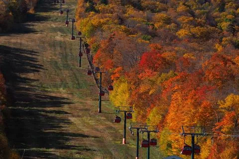 Cable car view. Fall colour seen from above, with telephoto lens, on Stowe Mo Stock Photos