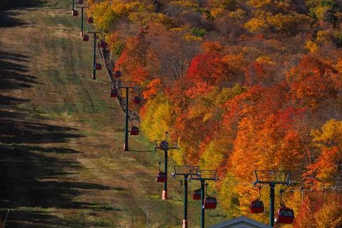 Cable car view. Fall colour seen from above, with telephoto lens, on Stowe Mo Stock Photos