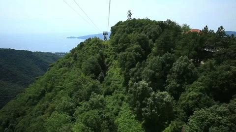 Cable Car View Over The Forest Stock Footage 40743561