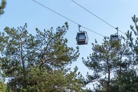 Cable cars moving between trees in natural setting Stock Photos