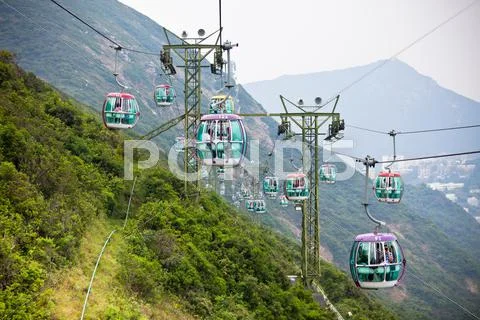 Cable Cars Over Tropical Trees In Hong Kong