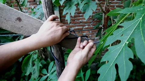 Cable for clothesline Stock Footage 270248798