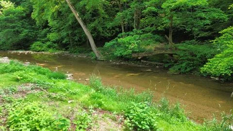 Cable Creek 6 Stock Photos
