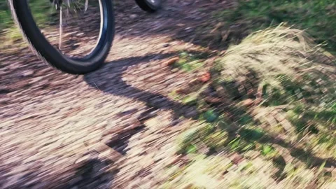 Cable dolly moving shot of mountain biker on forest trail, close up Stock Footage 314193411