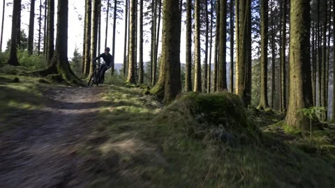 Cable dolly moving shot of a mountain biker riding a forest trail Stock Footage 314193613