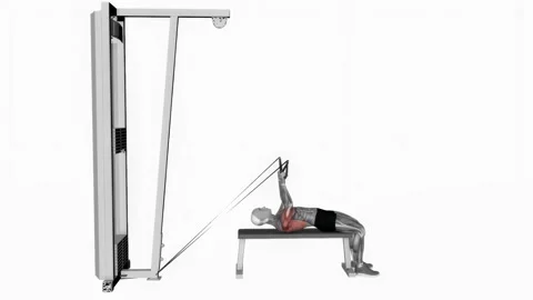 Cable lying extension pullover (with cables attachment fitness exercise workout  库存影片 243983332