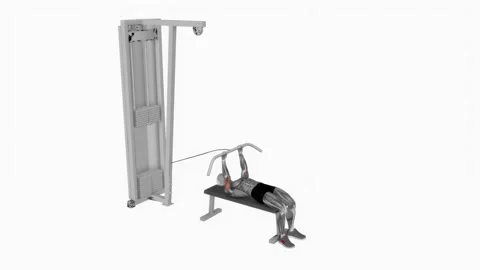 Cable lying triceps extension exercise fitness workout animation male muscle Vidéo 227560091