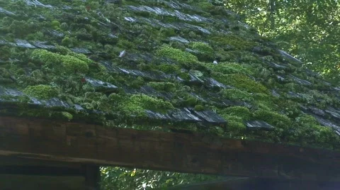 Cable Mill area 10 Stock Footage 711357