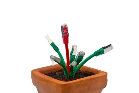 Cable network in flower pot Stock Photos