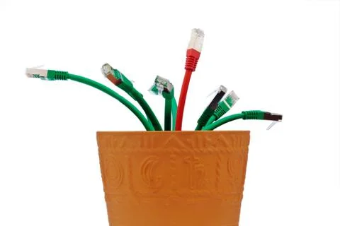 Cable network in flower pot Stock Photos