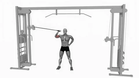 Cable One Arm Inner Biceps Curl Video stock 243985019