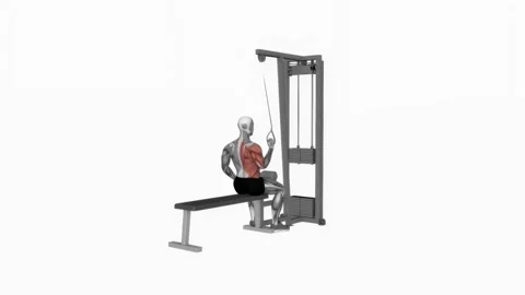 Cable one arm lat pulldown fitness exercise workout animation male muscle highli Vídeos de archivo 243983356