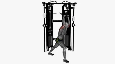 Cable overhead extension rope exercise fitness workout animation male muscle Stockbeeldmateriaal 227560123