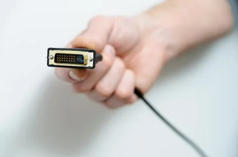 Cable plug dvi. Stock Photos