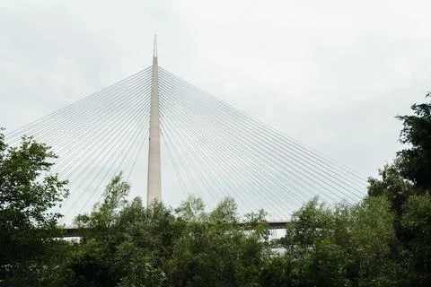 The cable stayed Ada Bridge rises above dense riverside vegetation. Modern .. Stock Photos