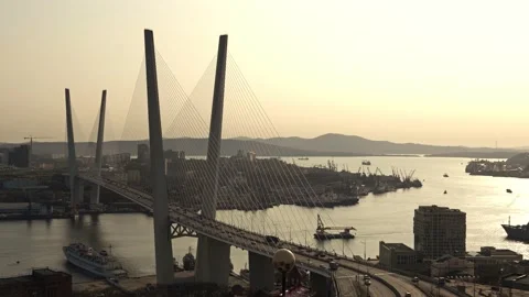 Cable-stayed automobile bridge on which a lot of cars are traveling stands over Stock Footage 134861935