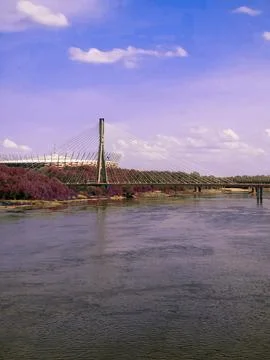 Cable-Stayed Bridge and Stadium Over River Foto stock