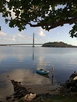 Cable-stayed bridge in bahia Foto stock