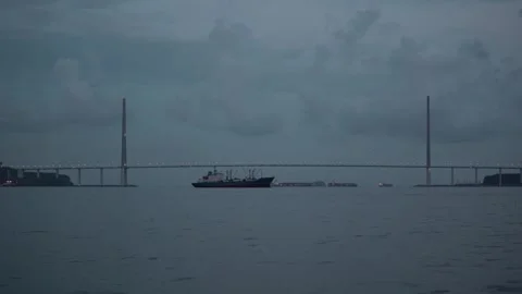 Cable-stayed bridge at dusk. Vessels under bridge. View from water. Bridge and Stock Footage 255244975