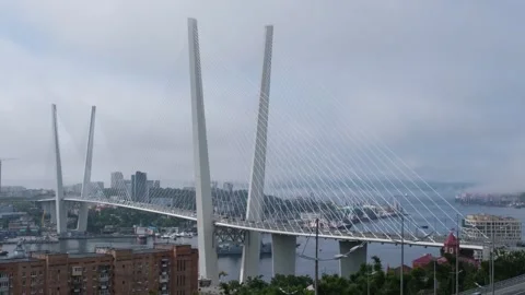 Cable-stayed bridge Golden Bridge in Vladivostok, Russia Stock Footage 243086889