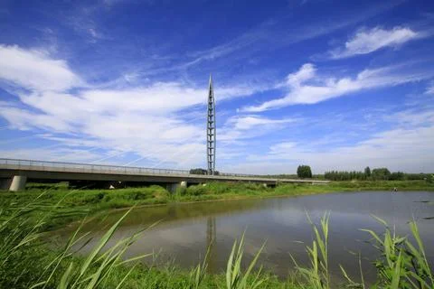 Cable-stayed bridge 스톡 사진